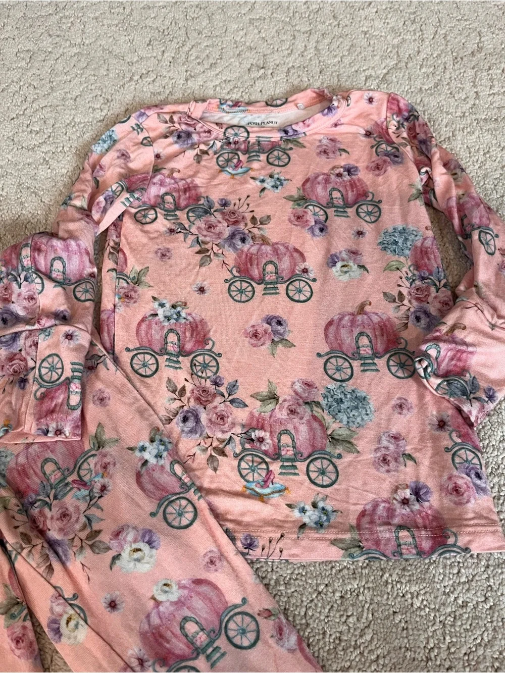 Posh Peanut Long Sleeve Pajama Set “Pumpkin Carriage Floral Print Size 2T EC - Picture 3 of 6